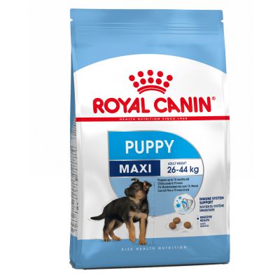 ROYAL CANIN  MAXI Puppy